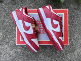 Authentic Nike SB Dunk Low Red/White