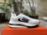 Nike Pegasus Premium（12）