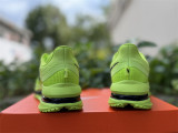 Nike Pegasus Premium（11）