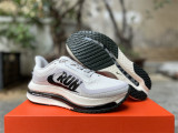 Nike Pegasus Premium（12）