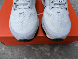 Nike Pegasus Premium（12）