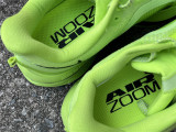 Nike Pegasus Premium（11）