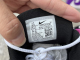 Authentic Nike SB x Nike Air Max 95 Summit White/Photon Dust