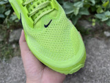 Nike Pegasus Premium（11）