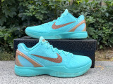 Authentic Nike Kobe 6 Statue of Liberty PE