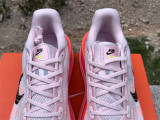 Nike Pegasus Premium（13）