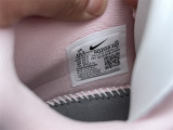 Nike Pegasus Premium（13）
