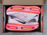 Nike Pegasus Premium（13）