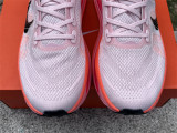 Nike Pegasus Premium（13）
