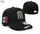 Mexico Snapback Hat (33)