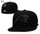 NFL Carolina Panthers Snapback Hat (237)