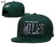NFL Philadelphia Eagles Snapback Hat (304)