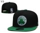 NBA Boston Celtics Snapback Hat (11)