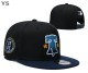 MLB Texas Rangers Snapback Hat (69)