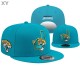 NFL Jacksonville Jaguars Snapback Hat (65)