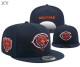 NFL Chicago Bears Snapback Hat (176)