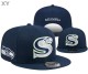 NFL Seattle Seahawks Snapback Hat (351)