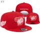 NHL Detroit Red Wings Snapback Hat (31)