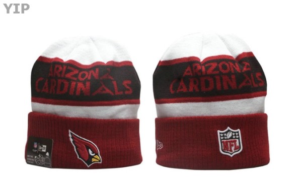 NFL Arizona Cardinals Beanies (43)