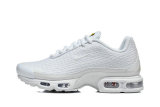 Nike Air Max TN Shoes (10)