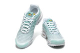 Nike Air Max TN Shoes (19)