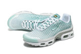 Nike Air Max TN Shoes (19)