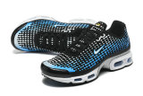 Nike Air Max TN Shoes (14)