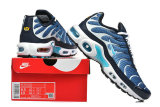Nike Air Max TN Shoes (32)
