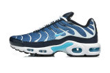 Nike Air Max TN Shoes (32)