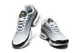 Nike Air Max TN Shoes (30)