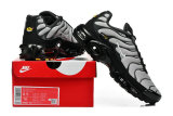Nike Air Max TN Shoes (23)