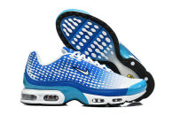 Nike Air Max TN Shoes (31)