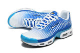 Nike Air Max TN Shoes (31)