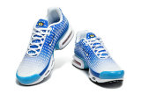 Nike Air Max TN Shoes (31)