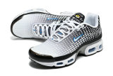 Nike Air Max TN Shoes (30)