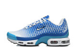 Nike Air Max TN Shoes (31)