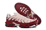 Nike Air Max TN Shoes (22)