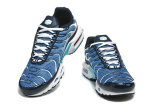 Nike Air Max TN Shoes (32)