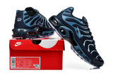 Nike Air Max TN Shoes (34)