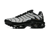 Nike Air Max TN Shoes (23)