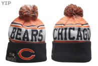 NFL Chicago Bears Beanies (75)