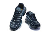 Nike Air Max TN Shoes (34)