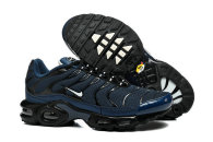 Nike Air Max TN Shoes (33)