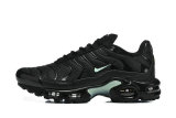 Nike Air Max TN Shoes (25)