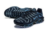 Nike Air Max TN Shoes (34)