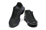 Nike Air Max TN Shoes (27)