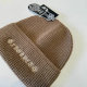 Chrome Hearts Beanies AAA (97)