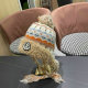 Moncler Beanies AAA (116)