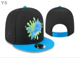 NFL Miami Dolphins Snapback Hat (276)