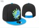 NFL Miami Dolphins Snapback Hat (276)